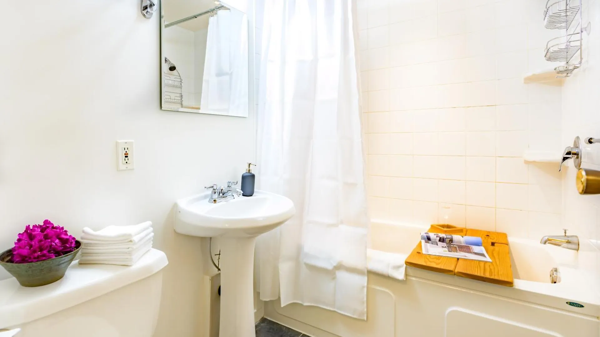 Charming 1 Bdrm View Suite Vancouver Apartment